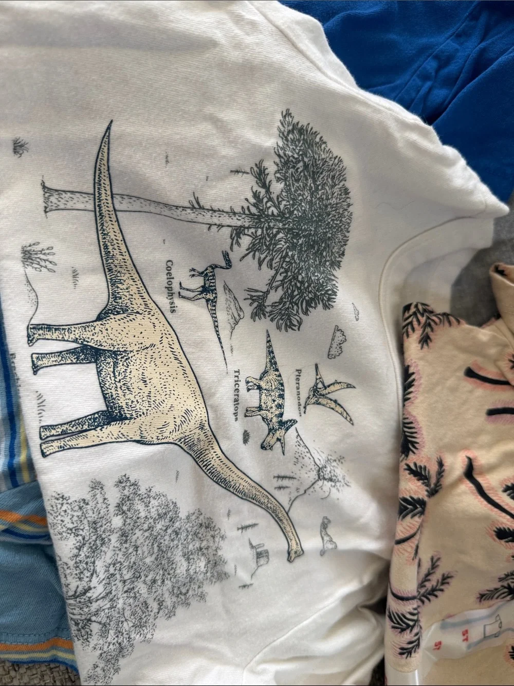 5 -5t boys tshirts GAP/old navy Royal Blue Kids Short Sleeve Graphic Tee